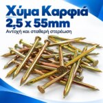 Χύμα Καρφιά 2,5x55mm