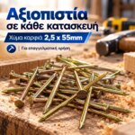Χύμα Καρφιά 2,5x55mm - Image 3