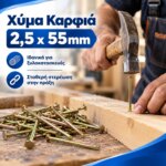 Χύμα Καρφιά 2,5x55mm - Image 4