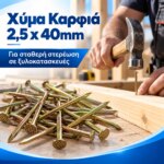 Χύμα Καρφιά 2,5x40mm - Image 4
